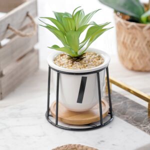 نبات صناعي كورزا - اخضر ومتعدد الألوان - 12 قطعة