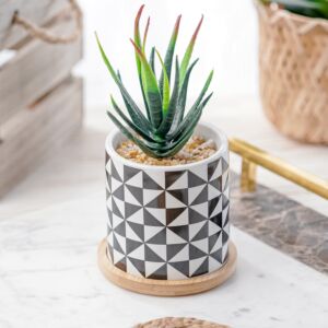 نبات صناعي دوفيا - اخضر ومتعدد الألوان - 12 قطعة