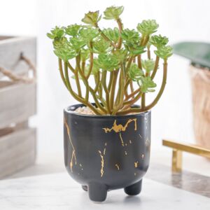 نبات صناعي موكا - اخضر ومتعدد الألوان - 12 قطعة