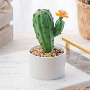 نبات صناعي سالي - اخضر ومتعدد الألوان - 12 قطعة