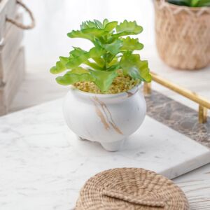 نبات صناعي زورا - اخضر ومتعدد الالوان - 12 قطعة