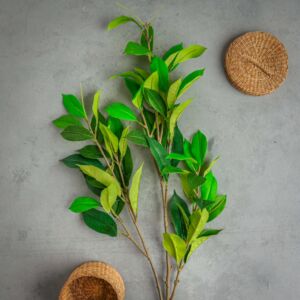 زهر صناعي لويزا - أخضر - 12 قطعة