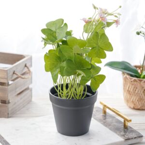 نبات صناعي هاما - اخضر ومتعدد الألوان - 12 قطعة