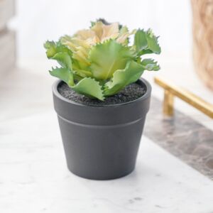 نبات صناعي شامي - متعدد الألوان - 12 قطعة