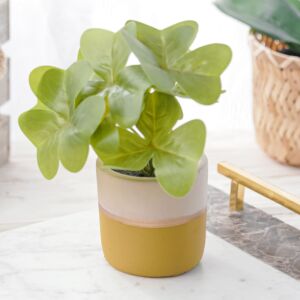 نبات صناعي كينيال - اخضر ومتعدد الألوان - 12 قطعة